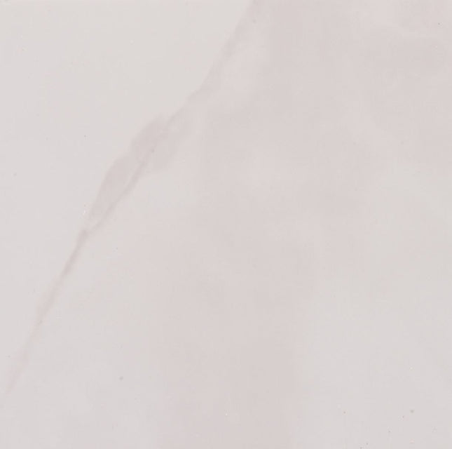 Neptune Grey Marble 2.6mt x 250mm Pack of 4